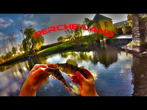 Carnassier 2015 | Perche-Land, le paradis des perches !! | HD