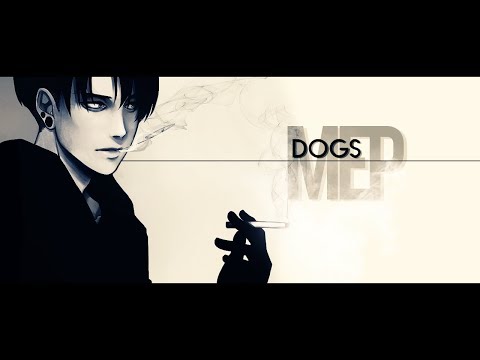 DOGS || Bishie MEP
