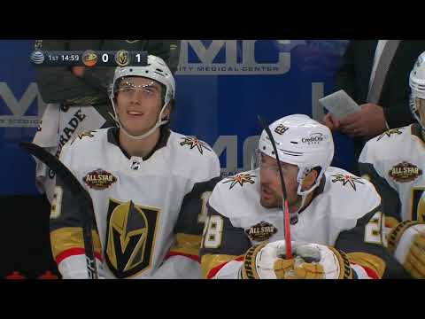 NHL  Oct.29/2021  Anaheim Ducks - Vegas Golden Knights