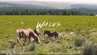 Wales Travel Diary w/ IheartAlice.com