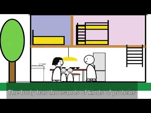 An insider’s look at what goes on in a cell