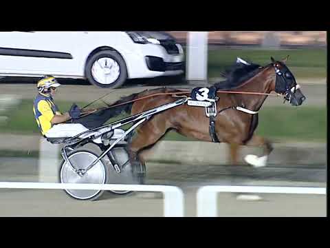 Napoli Trotto 21/07/2023 - 5ª corsa