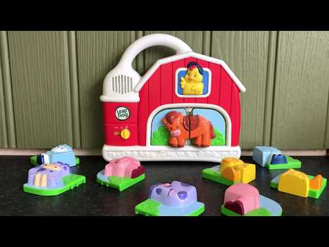 Leapfrog Fridge Magnet