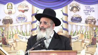 שידור חי מסוכת מו"ר הרב ישראל אברג'ל שליט"א