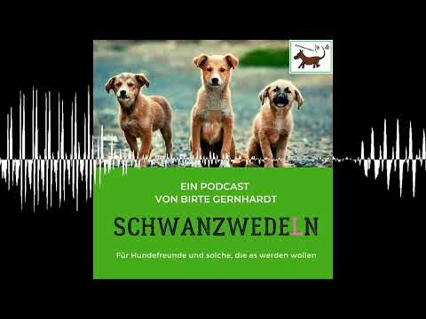 74 Alex hilft ... Hörerfragen/ Q&A 2 - Schwanzwedeln