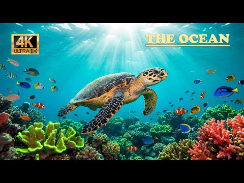 Seamless Seahorse 4K 🌊 Never-Ending Ocean Peace Loop