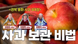 사과의 고장 경북 봉화 3대장이 알려주는 최상품으로 유지하는 비법