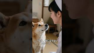 【実話】処分0秒前で救われた犬が「20人の最期」を看取るまで。12年間の奇跡と、彼が最後に選んだ道。