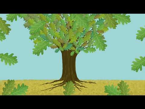 Początek może być mały