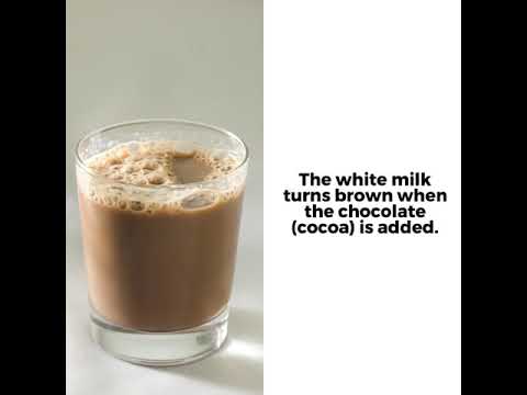Do brown cows make chocolate milk?
