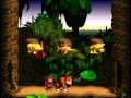 Donkey Kong Bonus by David Wise