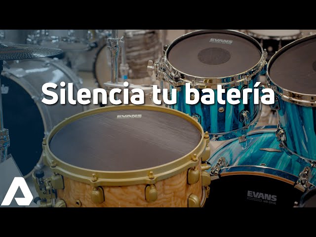 Vídeo relacionado con Evans dB One - Parche para caja de batería, reduce el volumen, tonos equilibrados y fieles, 36 cm