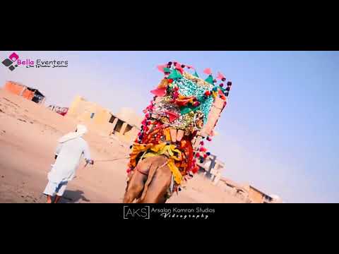 Royal Basant And Beach Party   Bella Eventers