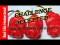 2022 Peter Pepper Contest GSGPeterPepperContest