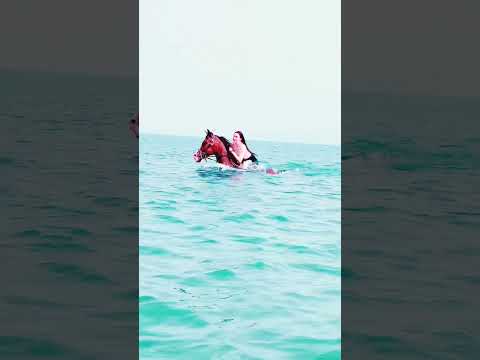 Dubai beach horse riding #horsebackriding #horse #horseride #dubailife #horseriding #dubaibeach