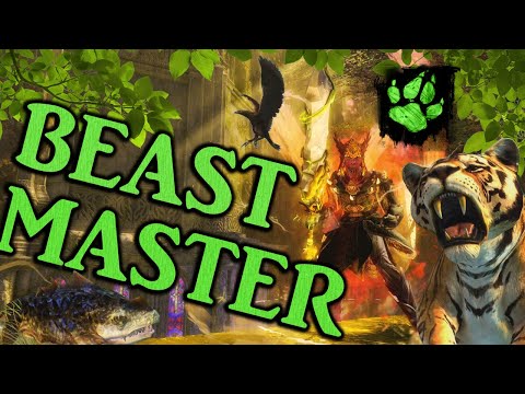 BEASTMASTER RANGER - The BEST Leveling Build for Guild Wars 2 Open World