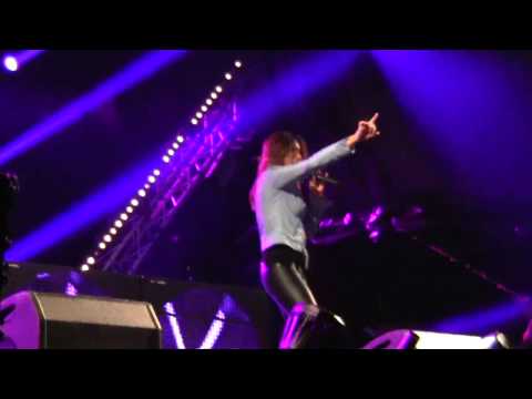 celebrate the 80s 90s with the Hoff Hungary David Hasselhoff