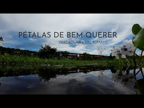 Pétalas De Bem - querer - Duo Aduar