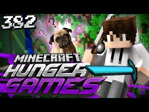 Minecraft Hunger Games: Game 382 - What Just Happened?