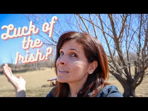 A Different take on Irish Soda Bread | Success or Fail?