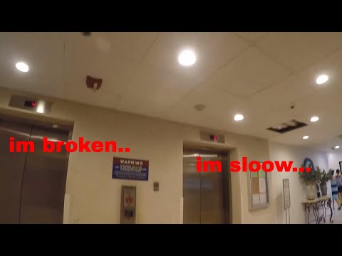 SLOW Dover Traction Elevators @ Top'sl Beach Manor, Destin, FL