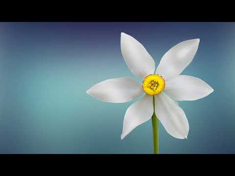 Spring | Meditation TV Screensaver | No Sound | TV into Art to Meditate