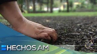 ¿El antojo de comer tierra mojada implica tener parásitos en el estómago? | Verdad o mito