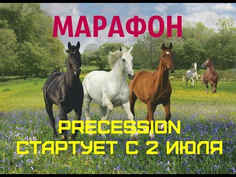 МАРАФОН PRECESSION ФУРОР в МЛМ! Александр Горин