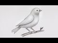Simple Bird Drawing Easy Bird Pencil Sketch And Shading Drawing
