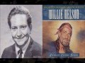 Willie Nelson - The Party's Over 