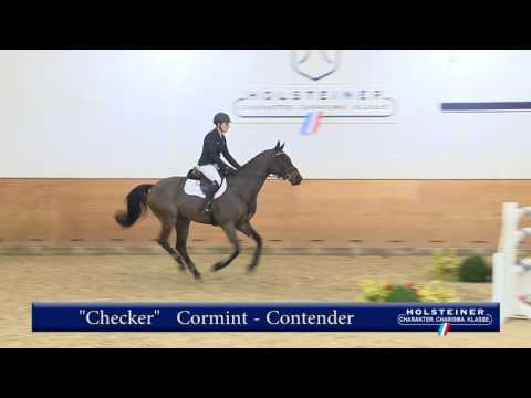 121. Checker v. Cormint - Contender