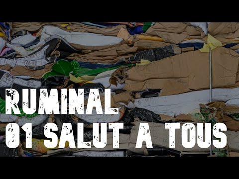 Ruminal - 01 Salut à tous