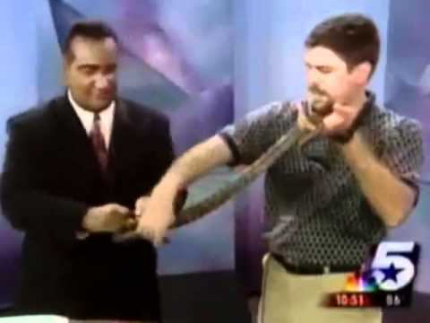 luviweb.it - presentatore terrorizzato da