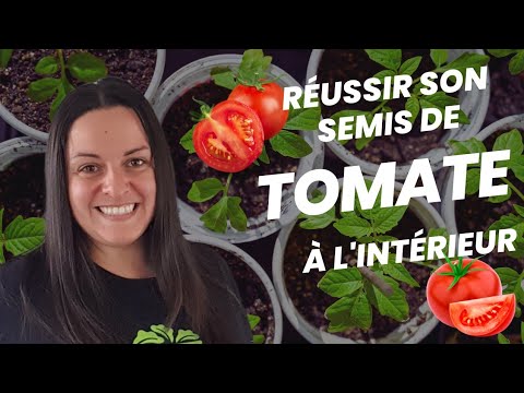 Comment faire les semis de TOMATES | Semer les TOMATES en 2021 | Réussir ses semis de TOMATE