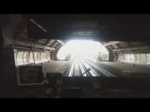 NS-93. Vicente Valdés - San Joaquín. Línea 5