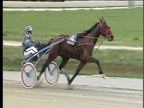 Trotto 25/03/2018 - 7ª corsa