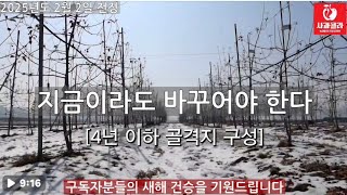 [사과재배] 전정,골격을 구성하라 /이 시기가 적기/ 1~4년차 4*2M