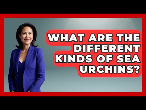 What Are The Different Kinds Of Sea Urchins? - The Marine Life Explorer