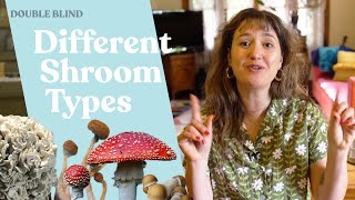 Mushroom Types 101 🍄 | DoubleBlind