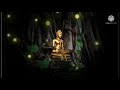 Lord Buddha Whatsapp Status Buddha Motivational Status Motivational Speech Like N Subscribe