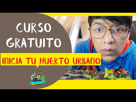 Cómo hacer tu primera composta