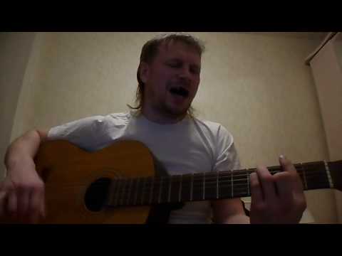 бузик раненые звери