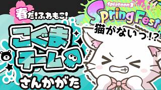 【スプラ3 🦑 フェス参加型】こぐまチーム集まれ！クマじゃないけど可愛い猫と遊べる配信🐱ナワバリ✨初心者・初見歓迎✨ Switch2 / Splatoon3 / スプラトゥーン3 #shorts