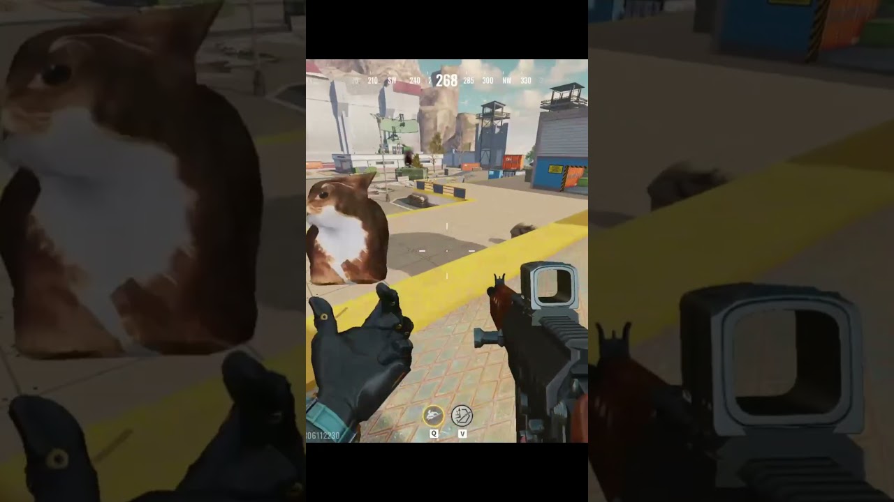 Play Video