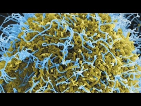 What we still don't know about Ebola