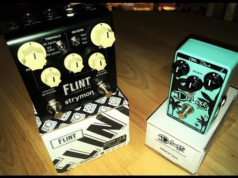 Mr Black Deluxe Plus Vs Strymon Flint - Demo And Review