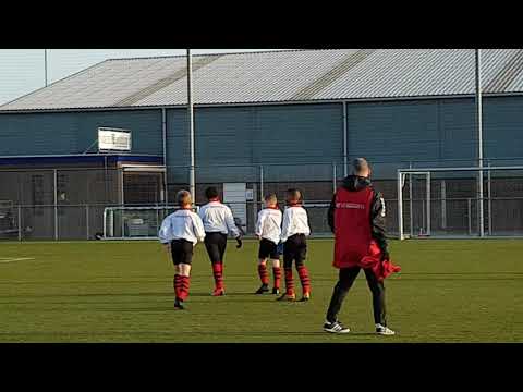 Yell Excelsior Jo11-1