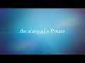 Mr Potato Head S Timeline 2008 Trailer