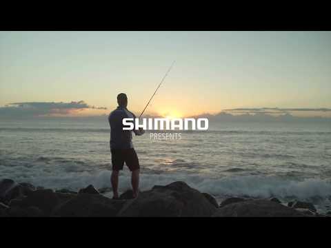 Shimano Baitrunner LC