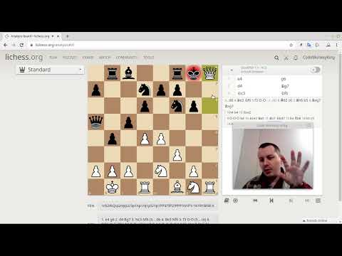 Chess programmer explains the difference between human vs computer chess strategies